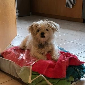 Meet your Posher, Maryam